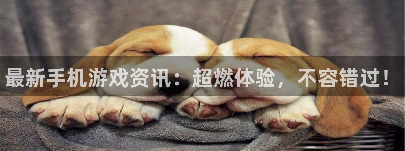 长征娱乐注册登录平台：最新手机游戏资讯：超燃体验，不容错过！