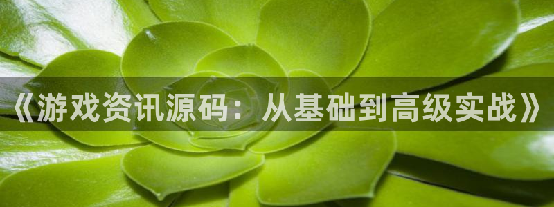 长征娱乐网址注册：《游戏资讯源码：从基础到高级实战》