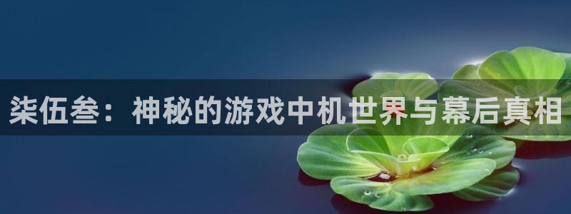 长征娱乐平台官网入口：柒伍叁：神秘的游戏中机世界与幕后真相