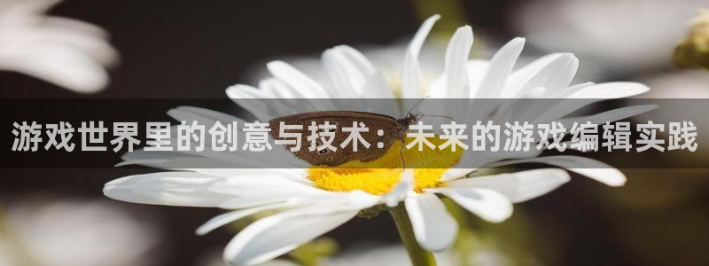 沐春长征娱乐：游戏世界里的创意与技术：未来的游戏编辑实践
