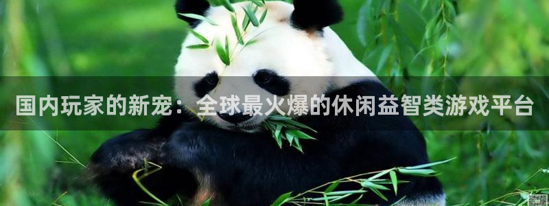 长征娱乐平台注册资金多少：国内玩家的新宠：全球最火爆的休闲益
