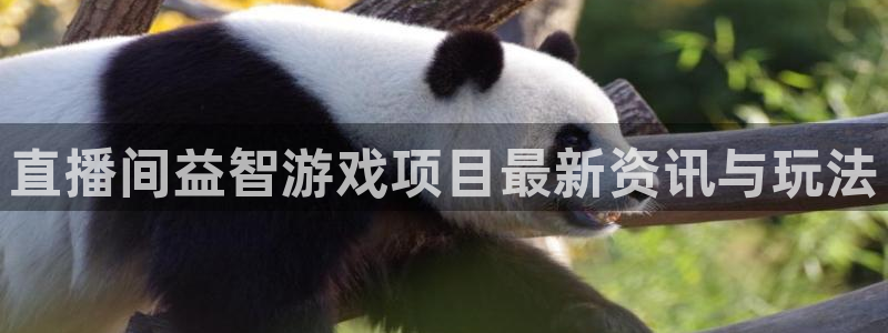 手机版长征娱乐客户端下载：直播间益智游戏项目最新资讯与玩法