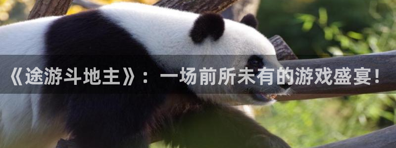 长征娱乐点最新消息今天视频：《途游斗地主》：一场前所未有的游