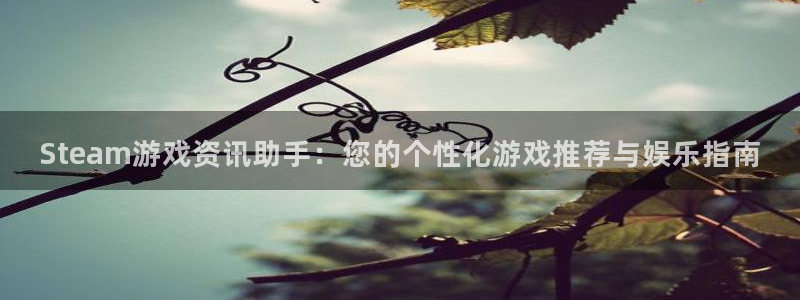 长征娱乐佳.3.3.4.8.2最新版本更新内容：Steam游