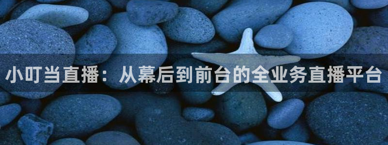 3833tv直播nba：小叮当直播：从幕后到前台的全业务直播平台