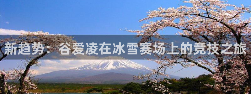 833直播足球：新趋势：谷爱凌在冰雪赛场上的竞技之旅
